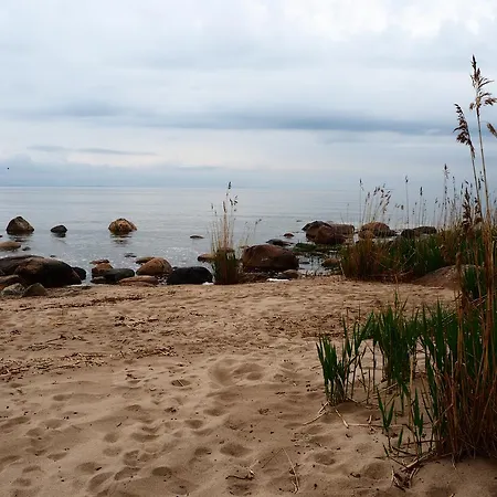 Kuelalistemaja بيت ضيافة Leesi