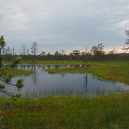 بيت ضيافة Kuelalistemaja Leesi