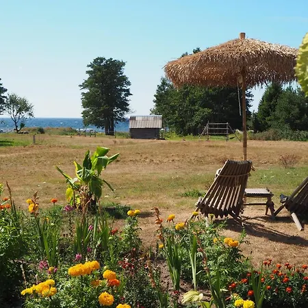 Kuelalistemaja Leesi