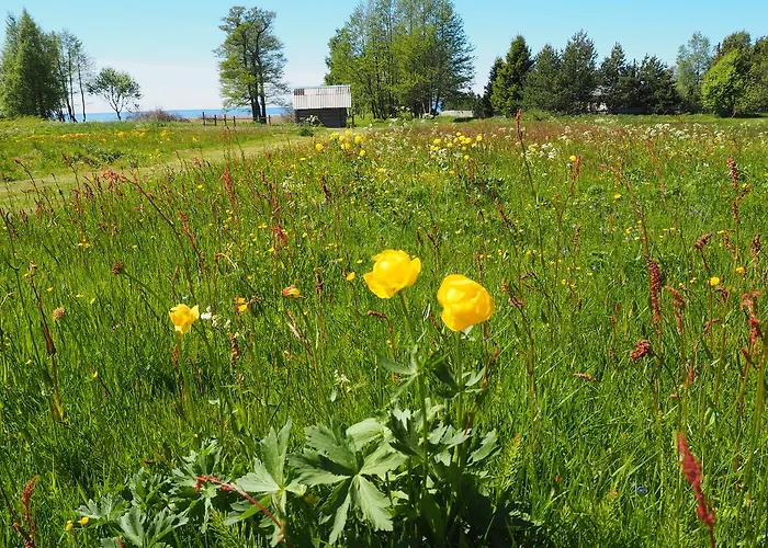 Kuelalistemaja Vendégház 3*