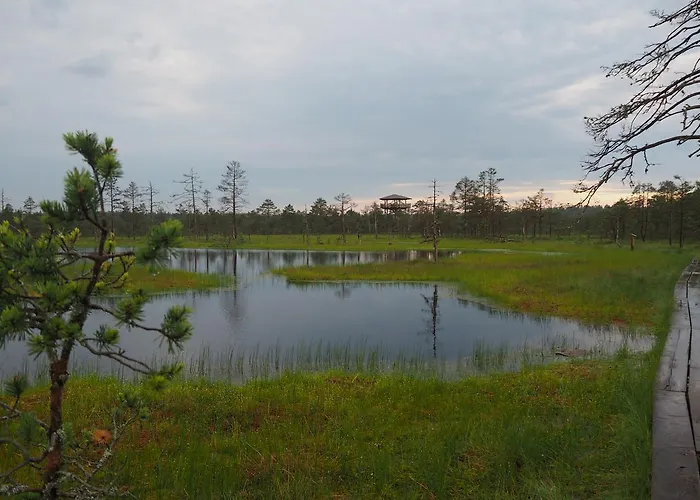 Vendégház Kuelalistemaja Leesi