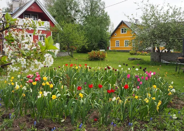 Kuelalistemaja Leesi